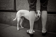 ddos攻击
